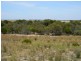 Lot 551 Boundary Road, Kepa SA 5259