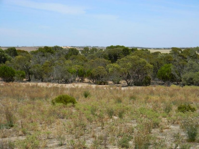 Lot 551 Boundary Road, Kepa SA 5259
