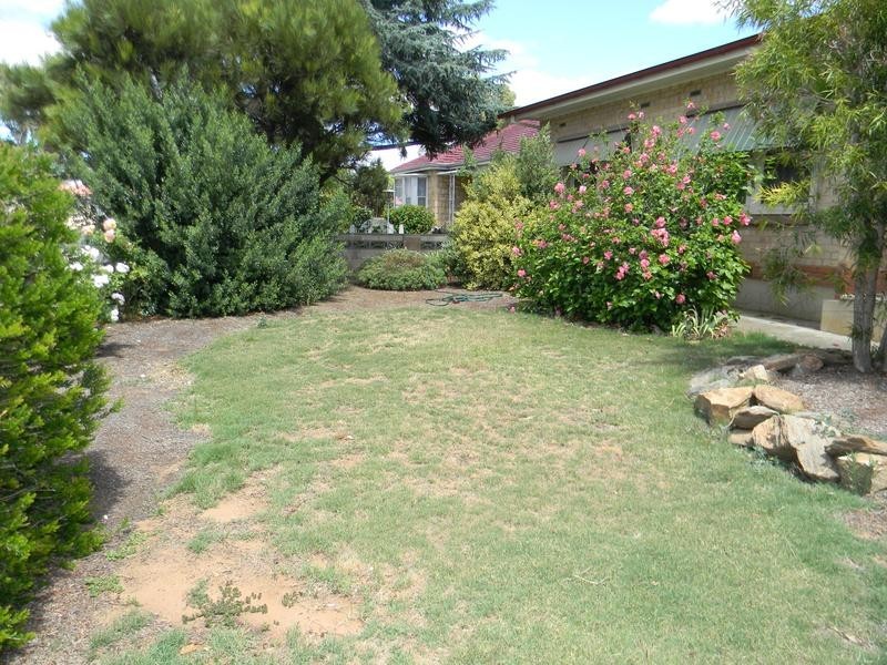 55 Clara Street, Murray Bridge SA 5253