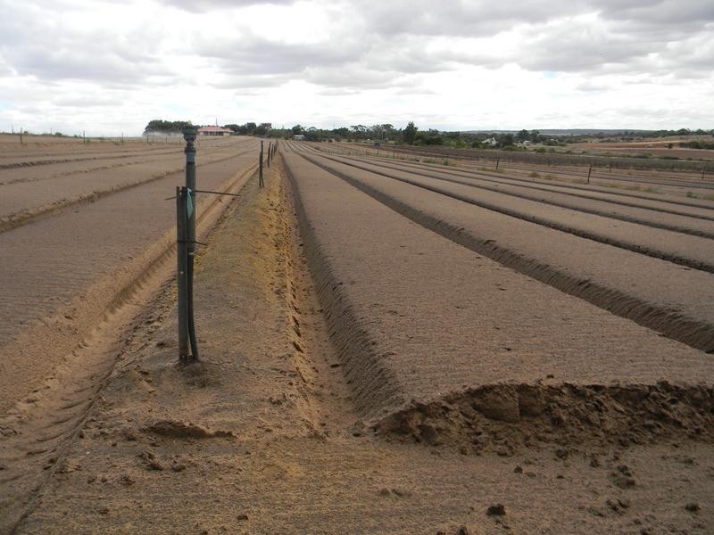 00 Murray Lands, Murray Bridge SA 5253