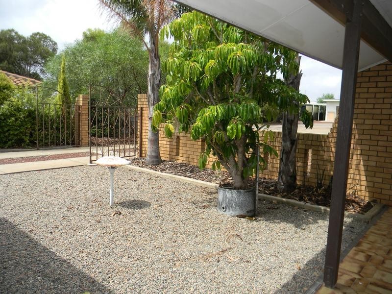 15 Todd Avenue, Murray Bridge SA 5253