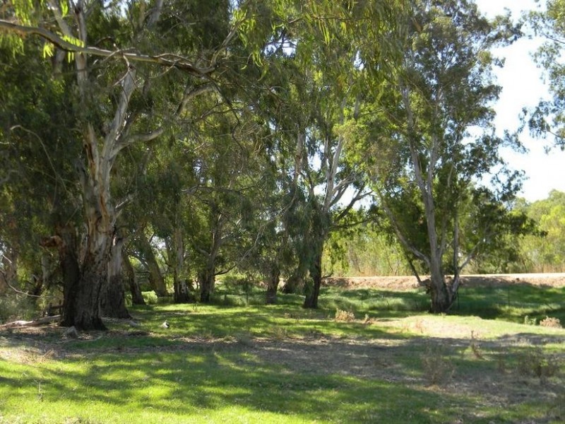 Lot 51,  North Bokara Rd, Woodlane SA 5238
