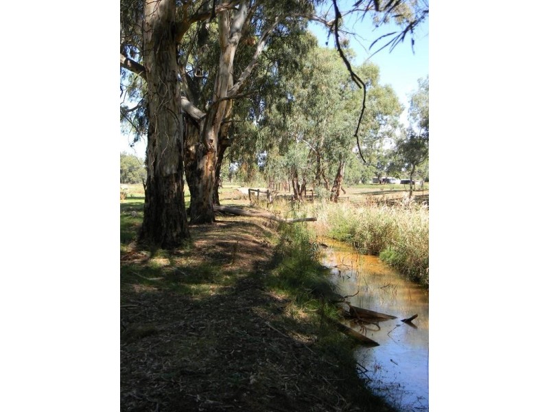 Lot 51,  North Bokara Rd, Woodlane SA 5238