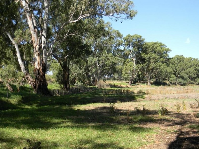 Lot 51,  North Bokara Rd, Woodlane SA 5238