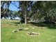 Lot 51,  North Bokara Rd, Woodlane SA 5238