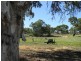 Lot 51,  North Bokara Rd, Woodlane SA 5238