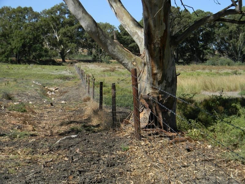 Lot 51,  North Bokara Rd, Woodlane SA 5238