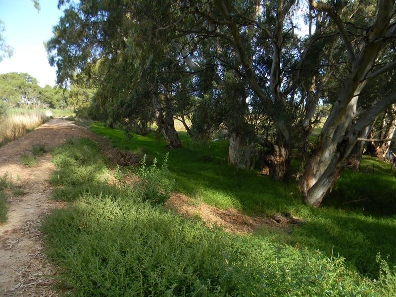 Lot 51,  North Bokara Rd, Woodlane SA 5238