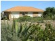 20 Magpie Drive, Tailem Bend SA 5259