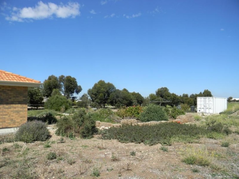 20 Magpie Drive, Tailem Bend SA 5259