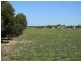 20 Magpie Drive, Tailem Bend SA 5259