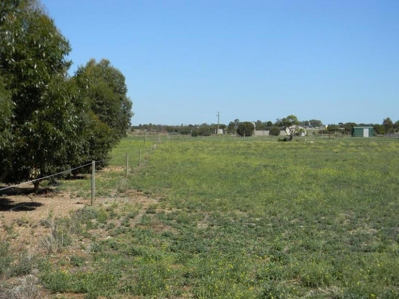 20 Magpie Drive, Tailem Bend SA 5259