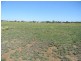 20 Magpie Drive, Tailem Bend SA 5259