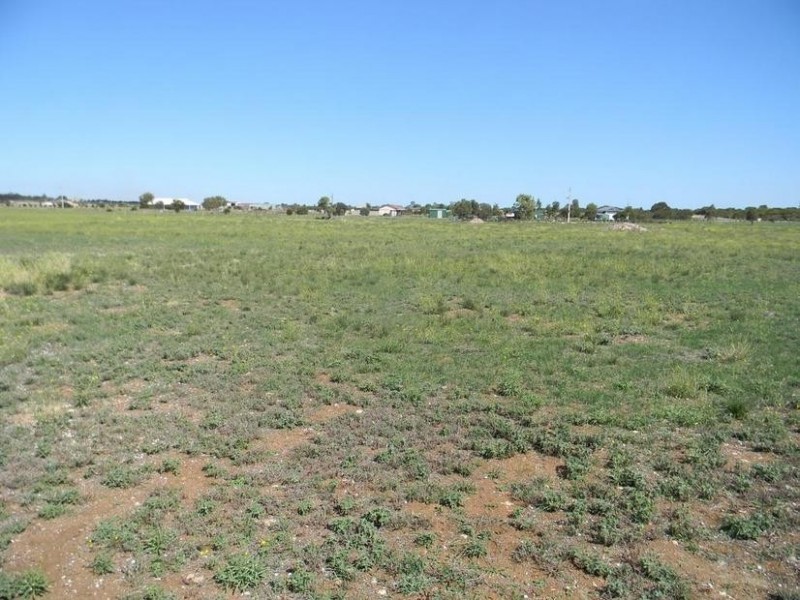 20 Magpie Drive, Tailem Bend SA 5259
