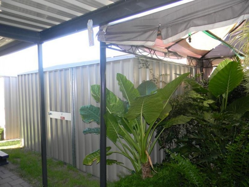 77A Alma Avenue, Murray Bridge SA 5253