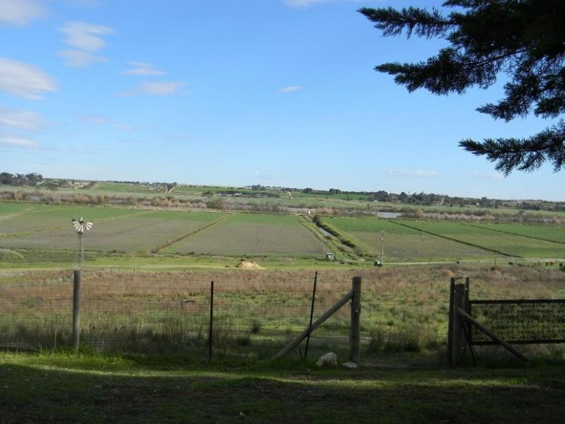 Lot 116, 8518 Princes Highway, Tailem Bend SA 5259