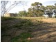 Lot 116, 8518 Princes Highway, Tailem Bend SA 5259