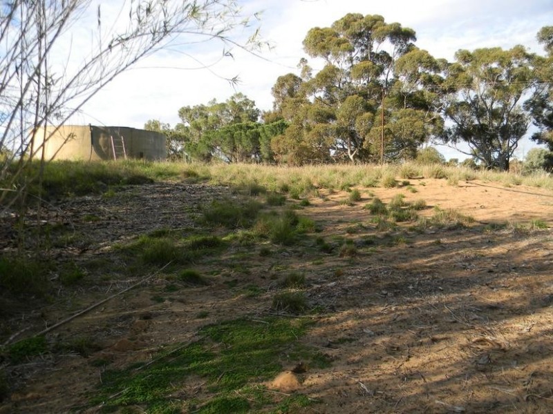 Lot 116, 8518 Princes Highway, Tailem Bend SA 5259