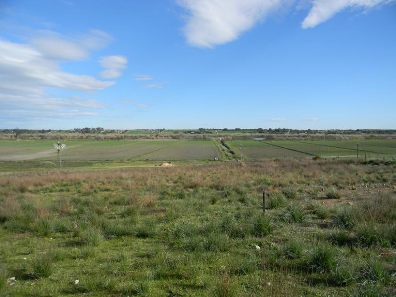 Lot 116, 8518 Princes Highway, Tailem Bend SA 5259