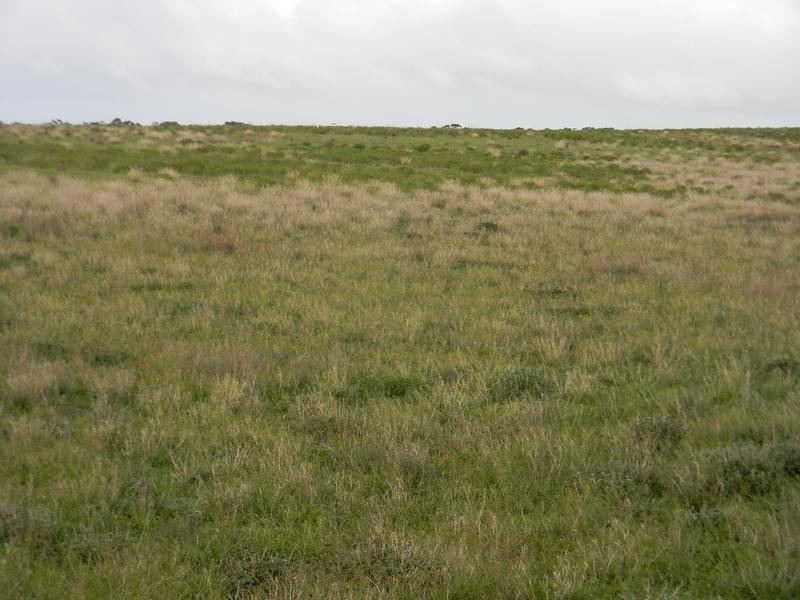 Sect 1439 Lovely Banks Road, Wellington SA 5259