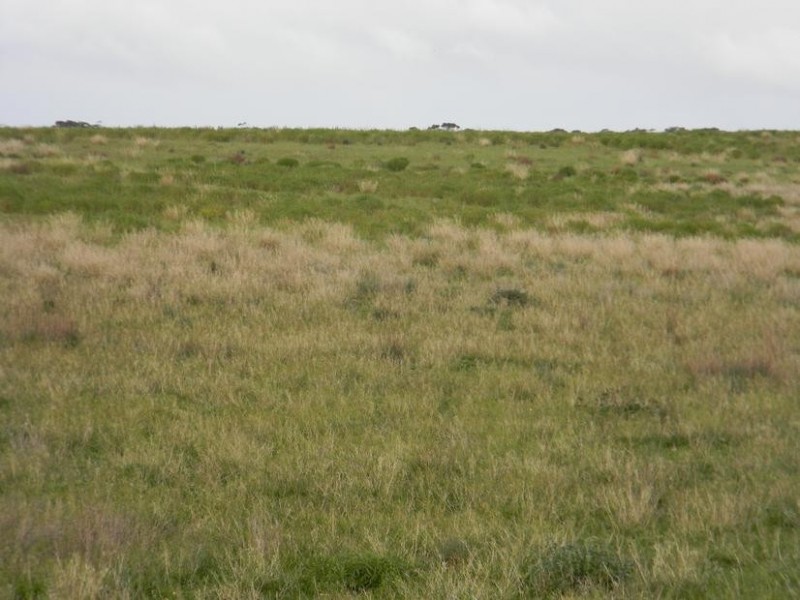 Sect 1439 Lovely Banks Road, Wellington SA 5259