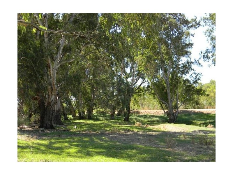 Lot 51 North Bokara Road, Woodlane SA 5238
