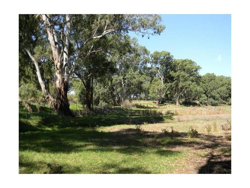 Lot 51 North Bokara Road, Woodlane SA 5238