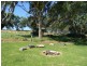 Lot 51 North Bokara Road, Woodlane SA 5238