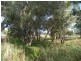 Lot 51 North Bokara Road, Woodlane SA 5238