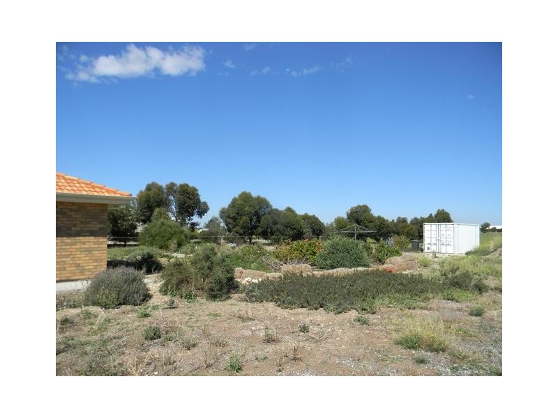 20 Magpie Drive, Tailem Bend SA 5260