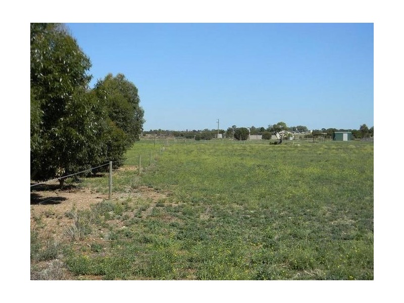 20 Magpie Drive, Tailem Bend SA 5260