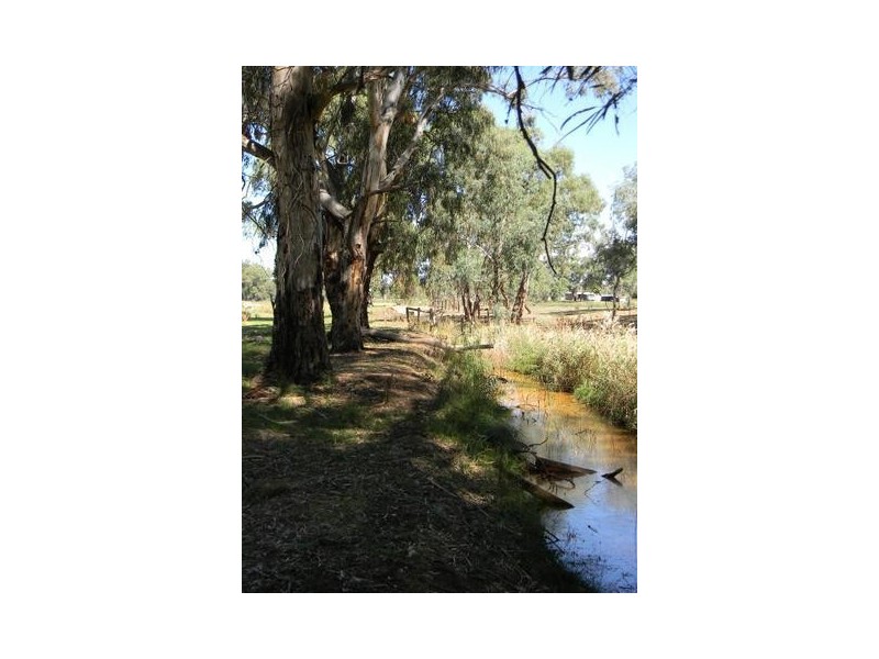 Lot 51,  North Bokara Road, Woodlane SA 5238