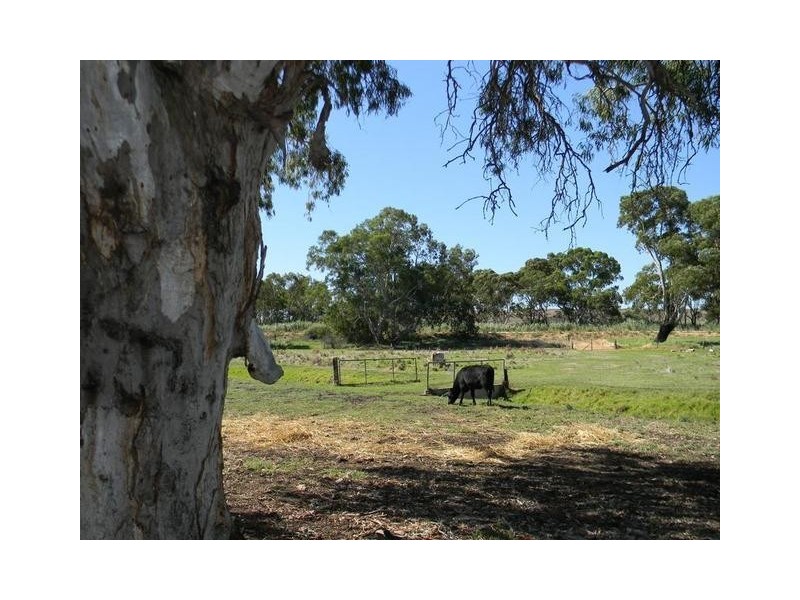 Lot 51,  North Bokara Road, Woodlane SA 5238