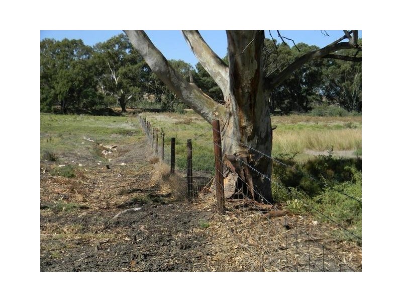 Lot 51,  North Bokara Road, Woodlane SA 5238