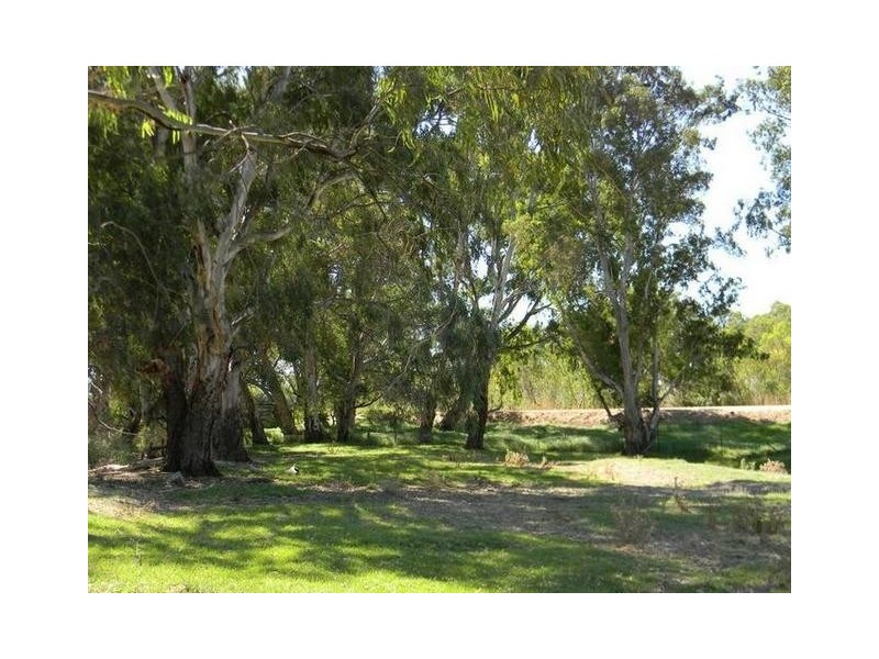 Lot 51,  North Bokara Road, Woodlane via, Murray Bridge SA 5253