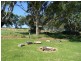 Lot 51,  North Bokara Road, Woodlane via, Murray Bridge SA 5253