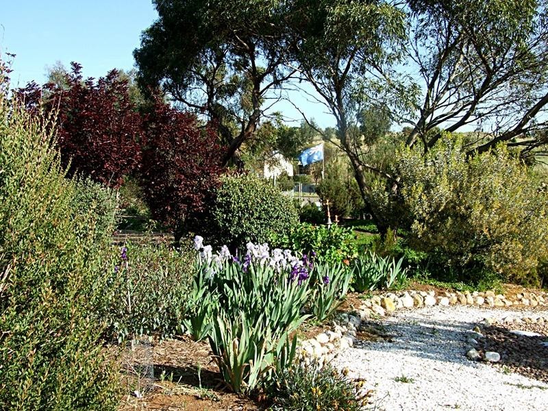 41 Doyle Road, Murray Bridge SA 5253