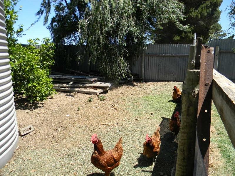 3394 Jervois Road Wellington via, Murray Bridge SA 5253