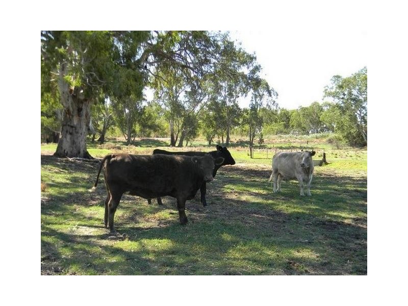 Lot 51 North Bokara Road Woodlane via, Murray Bridge SA 5253
