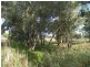 Lot 51 North Bokara Road Woodlane via, Murray Bridge SA 5253