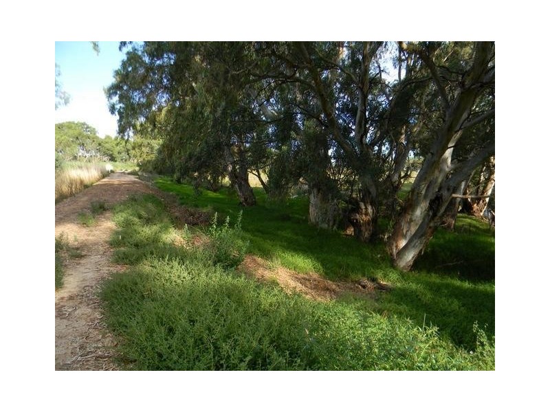 Lot 51 North Bokara Road, Woodlane SA 5238