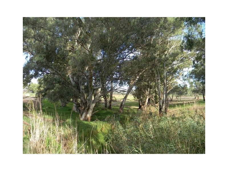 Lot 51 North Bokara Road, Woodlane SA 5238