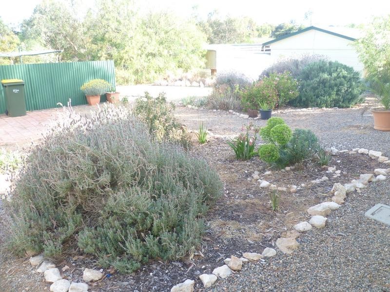 83 Mitchell Avenue, Murray Bridge SA 5253