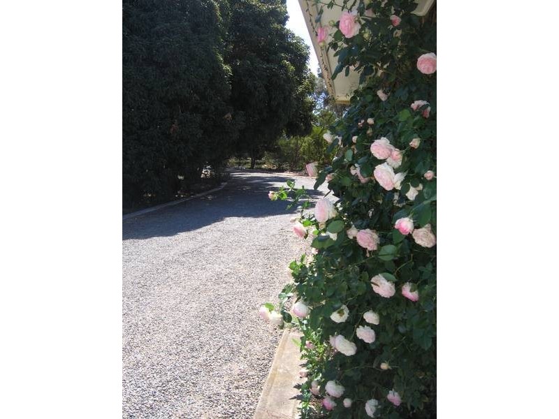 27 Lookout Drive, Murray Bridge SA 5253