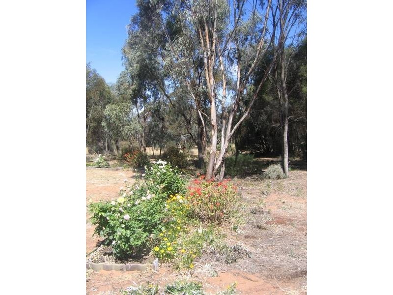 27 Lookout Drive, Murray Bridge SA 5253