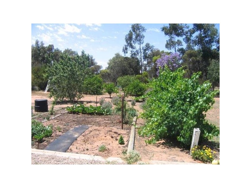 27 Lookout Drive, Murray Bridge SA 5253