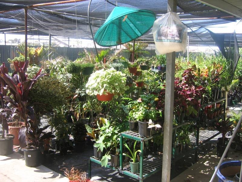 1,2,3- Adelaide Road, Murray Bridge SA 5253