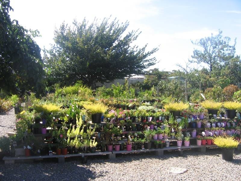 1,2,3- Adelaide Road, Murray Bridge SA 5253