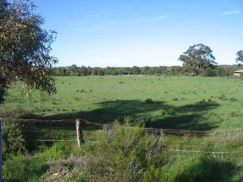 Lot 123 Rocky Gully Road, Murray Bridge SA 5253