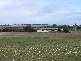 20 Garwood Road, Monarto South SA 5254